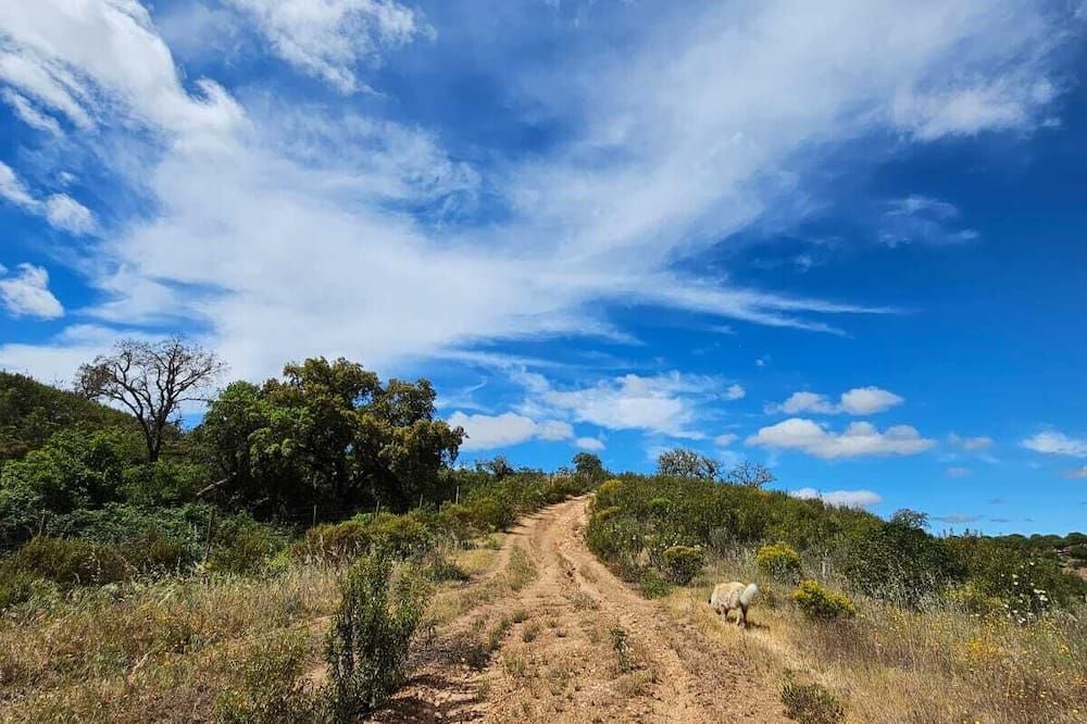 المظهر الخارجي