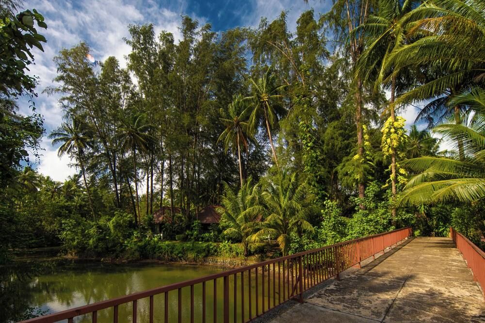 المظهر الخارجي