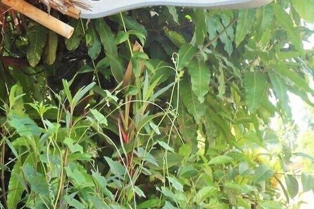 المظهر الخارجي