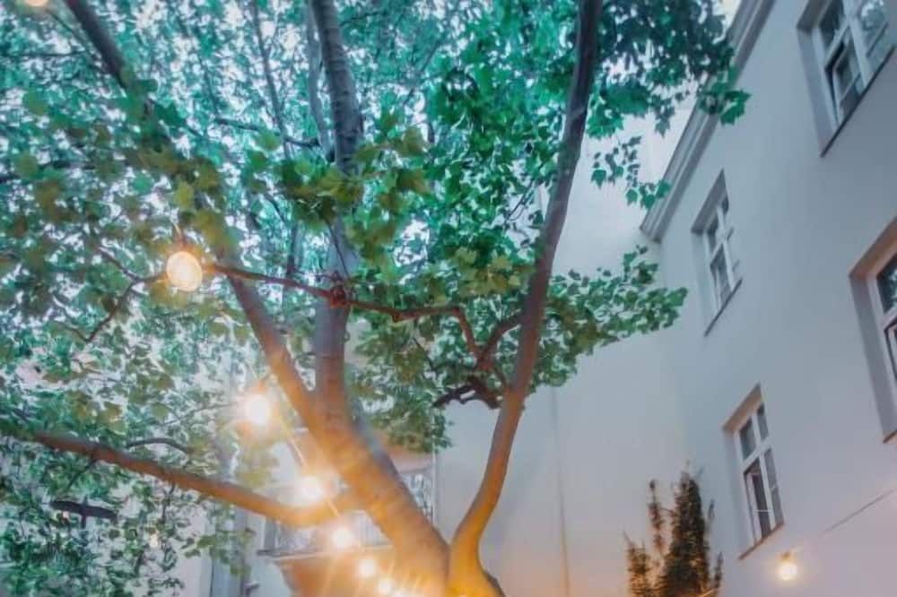 المظهر الخارجي