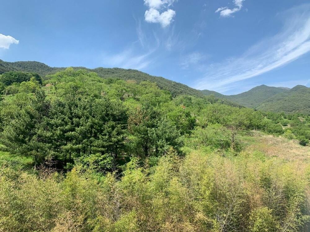 المظهر الخارجي