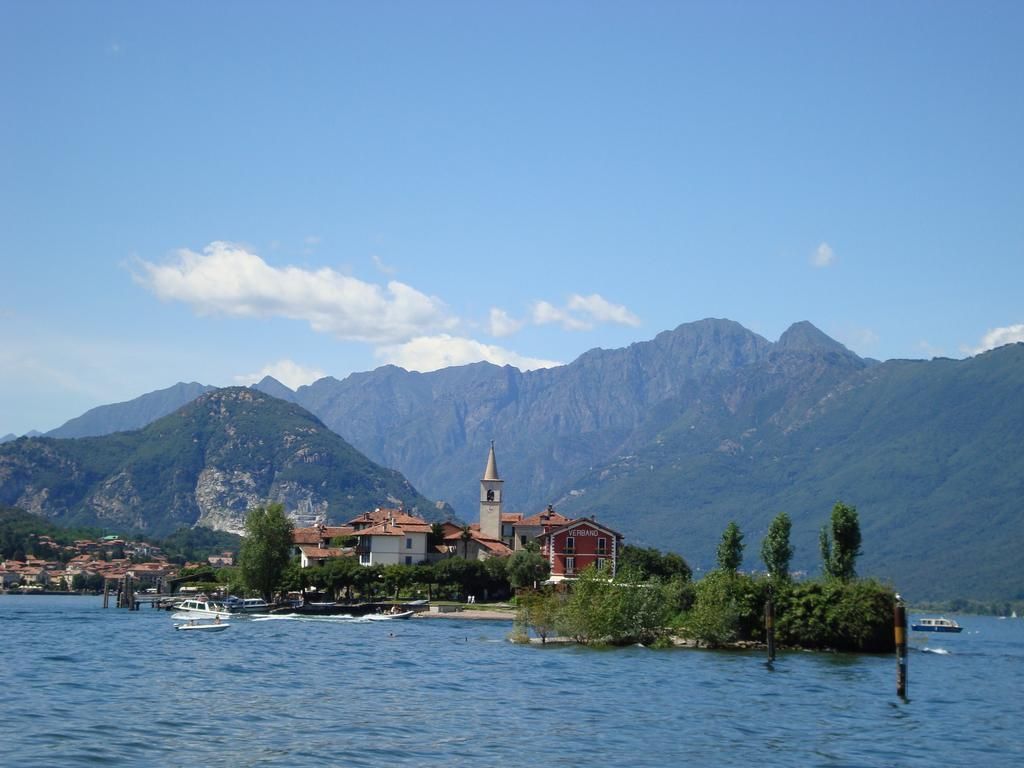 المظهر الخارجي