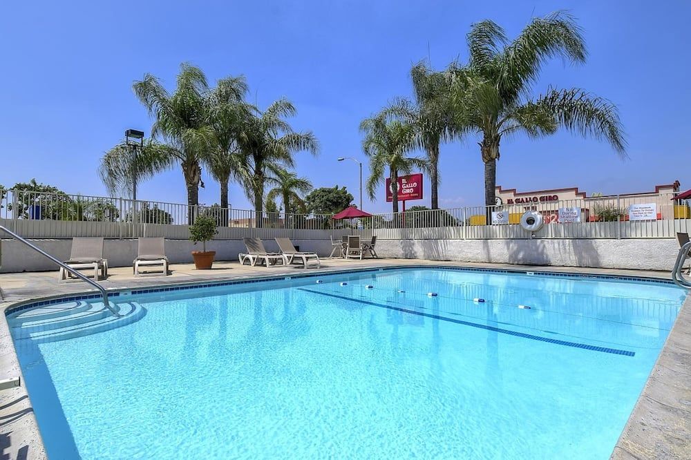 حوض السباحة