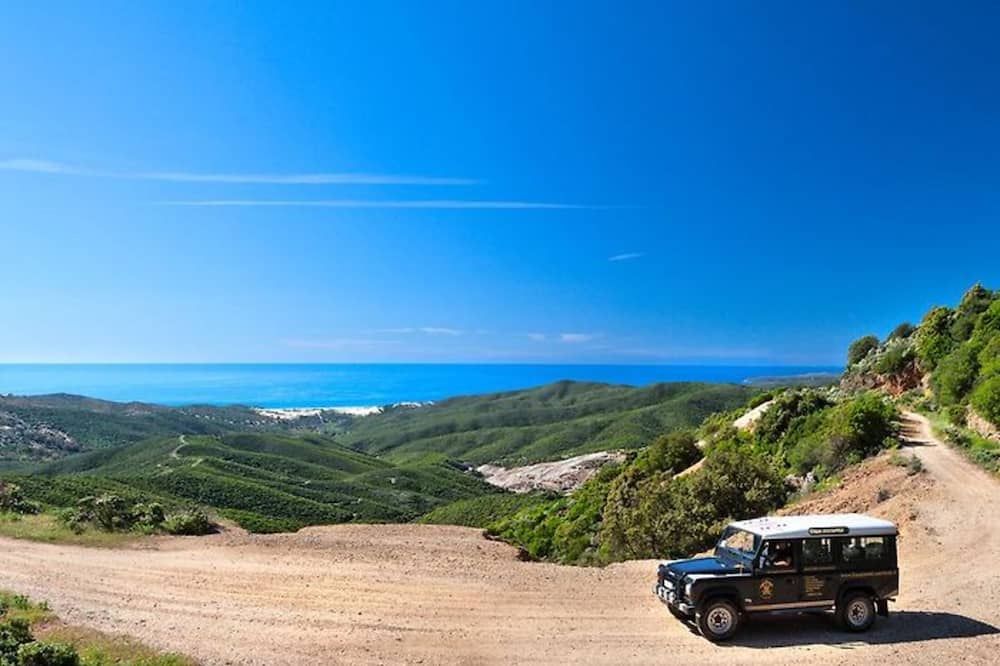 المظهر الخارجي