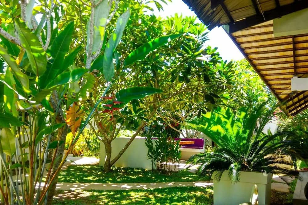 المظهر الخارجي