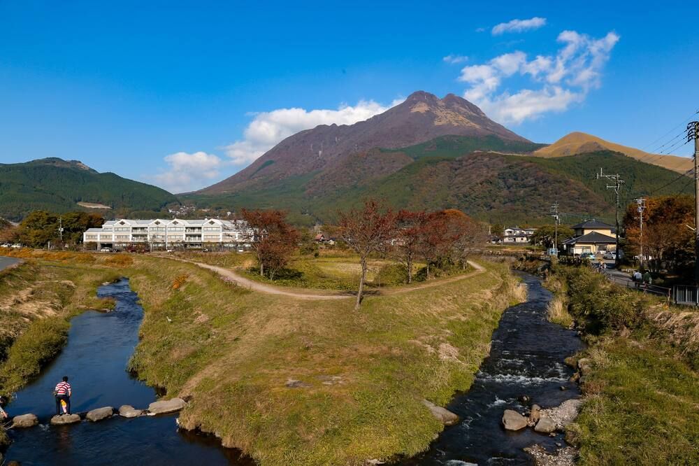 المظهر الخارجي