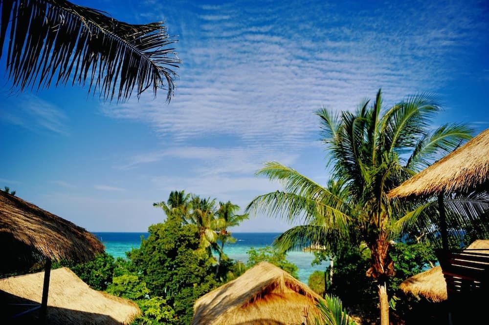 المظهر الخارجي