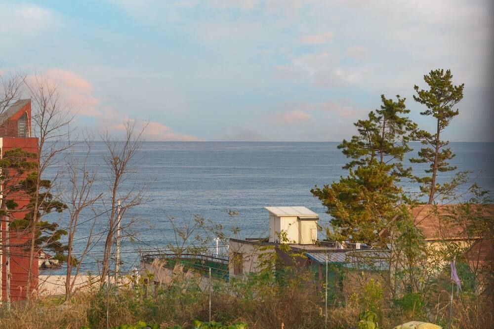 المظهر الخارجي