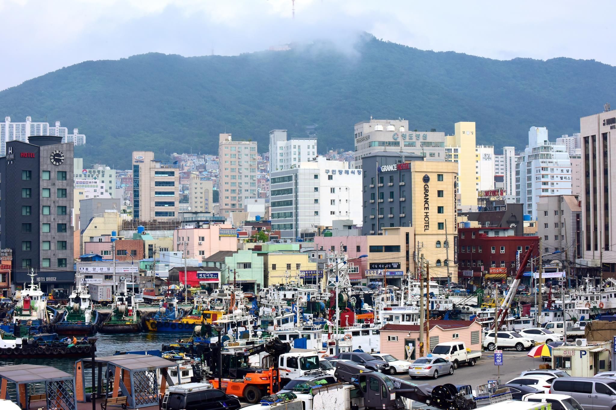 المظهر الخارجي