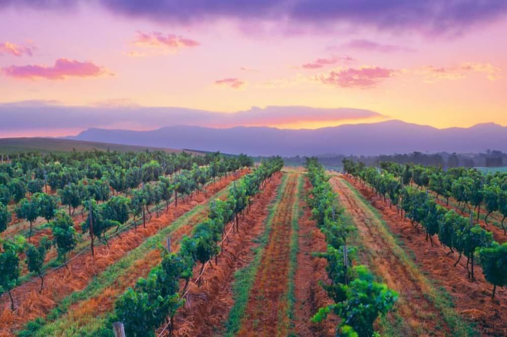 المظهر الخارجي