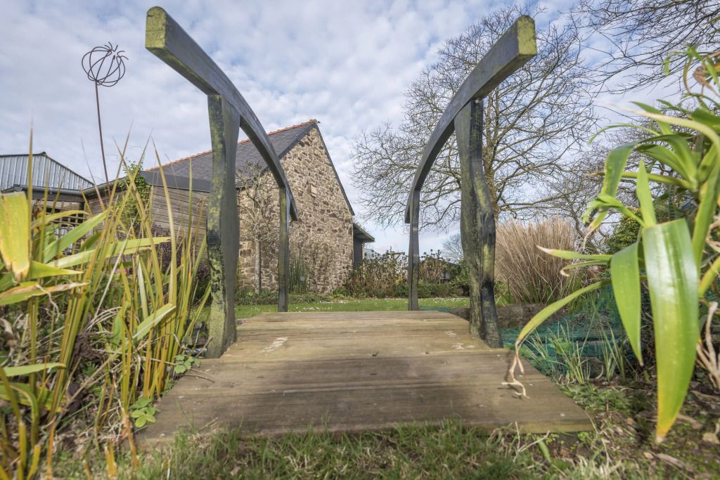 المظهر الخارجي