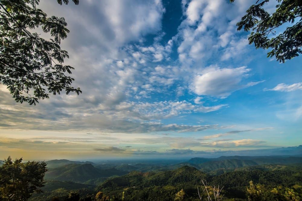المظهر الخارجي
