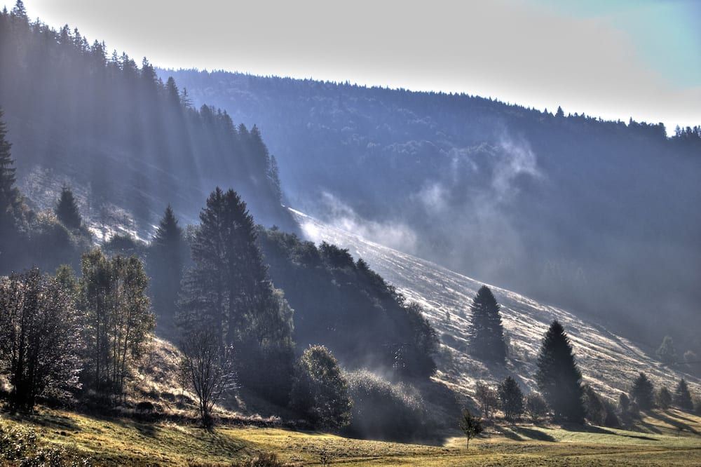 المظهر الخارجي