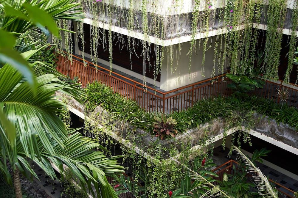 المظهر الخارجي