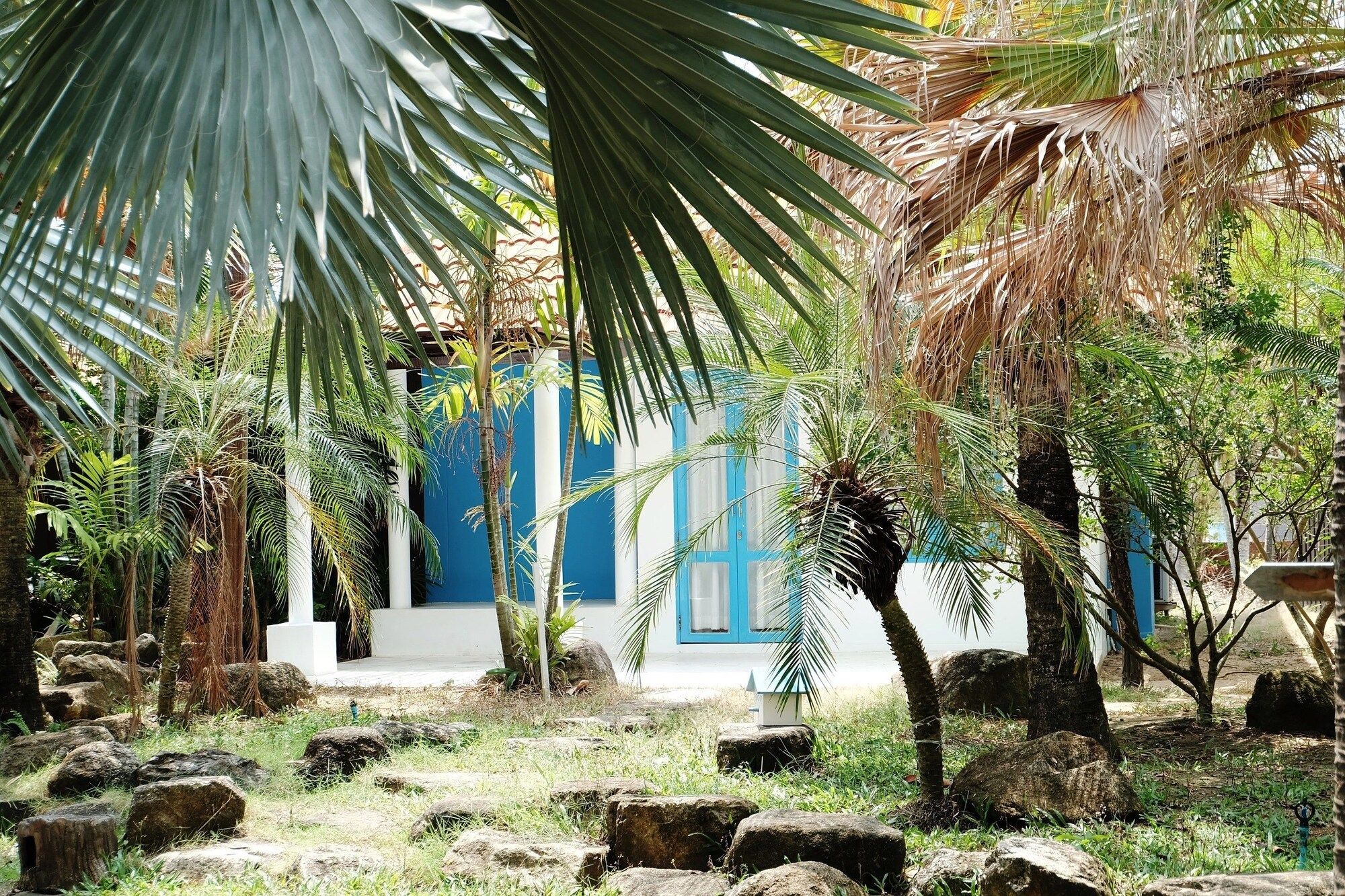 المظهر الخارجي