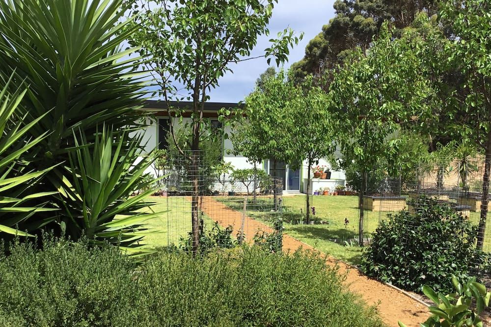 المظهر الخارجي