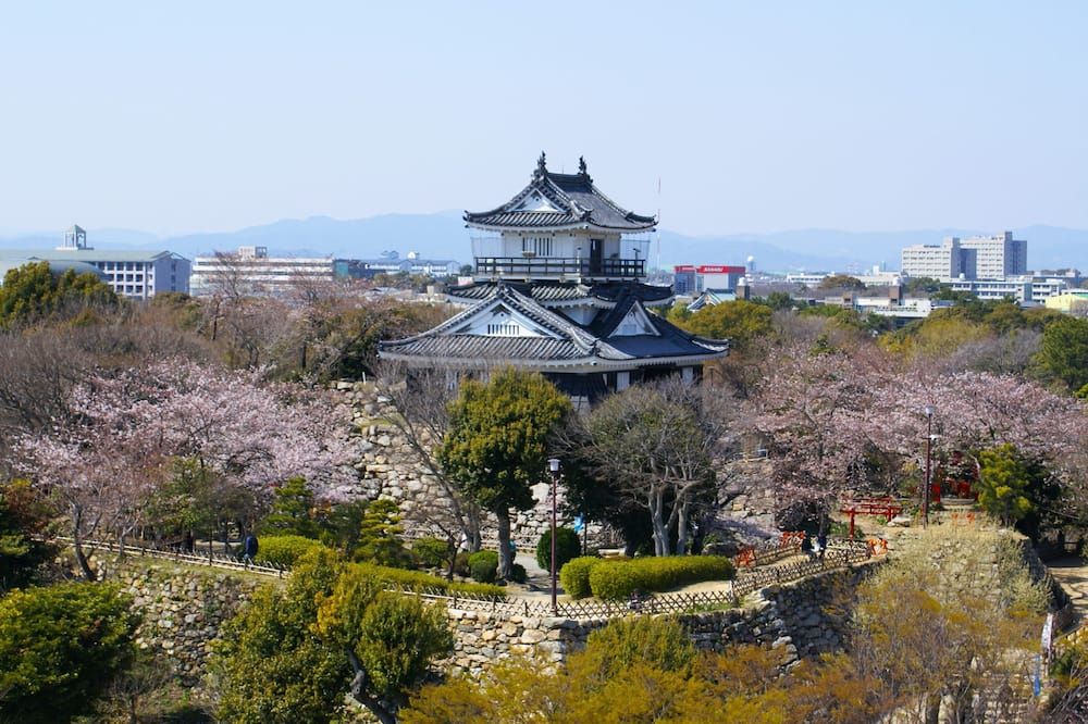 المظهر الخارجي