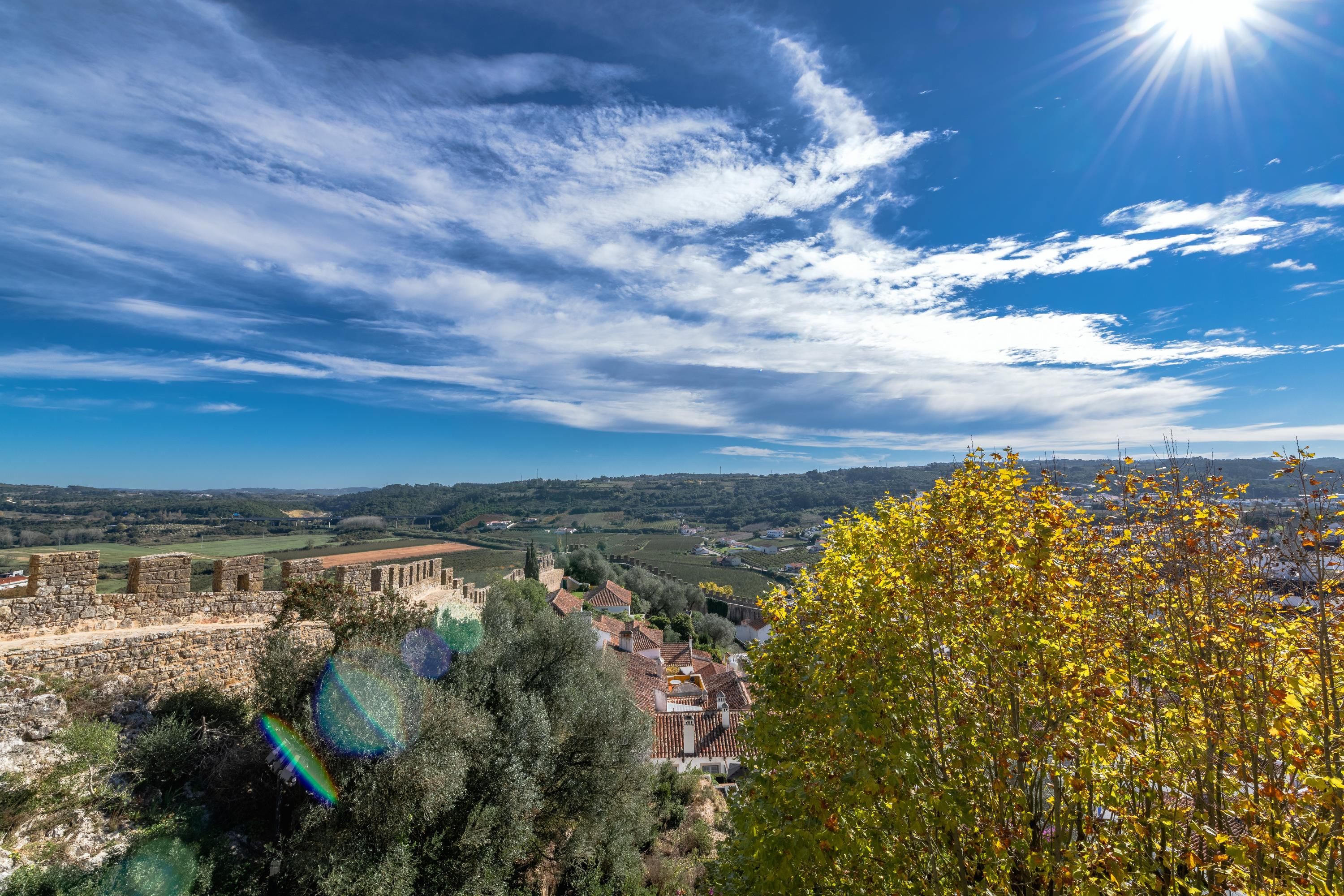 المظهر الخارجي