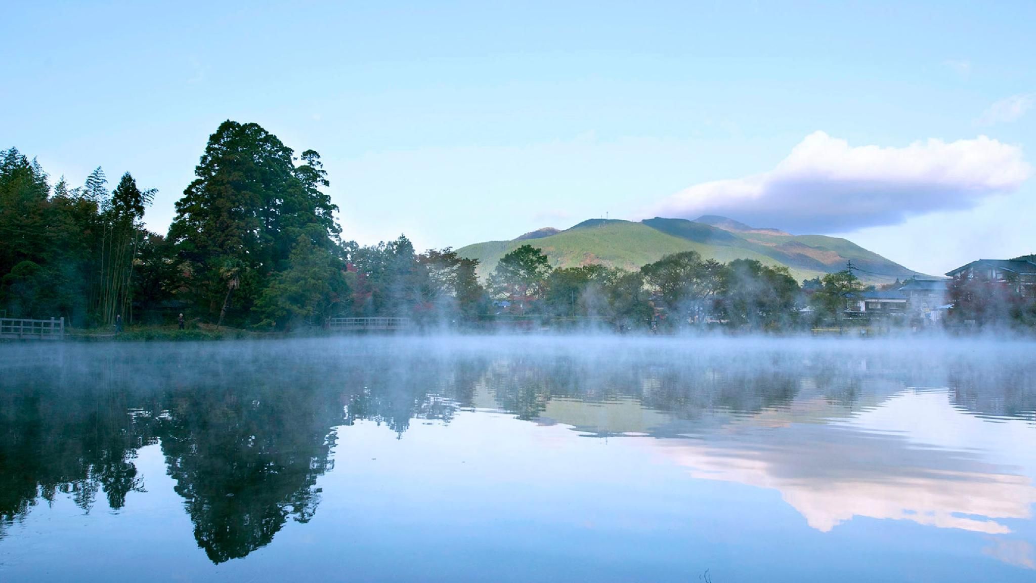 المظهر الخارجي