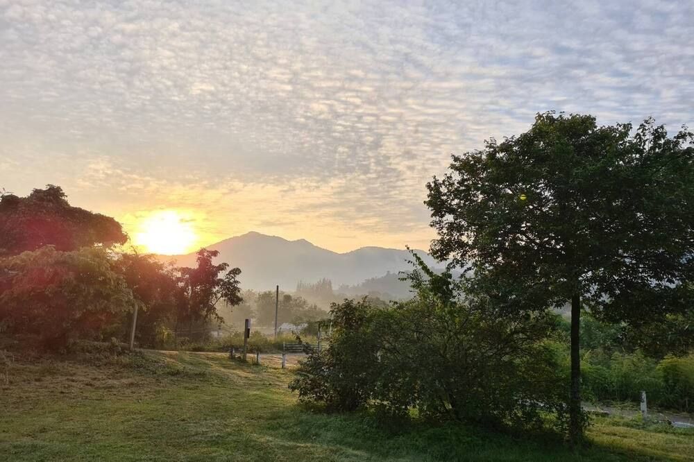 المظهر الخارجي