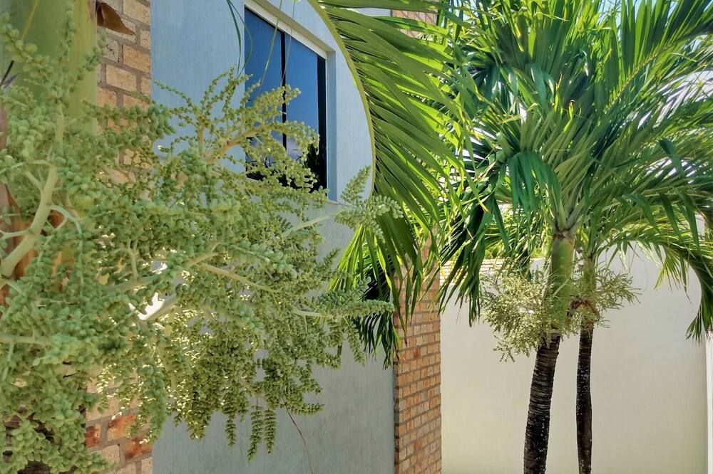 المظهر الخارجي