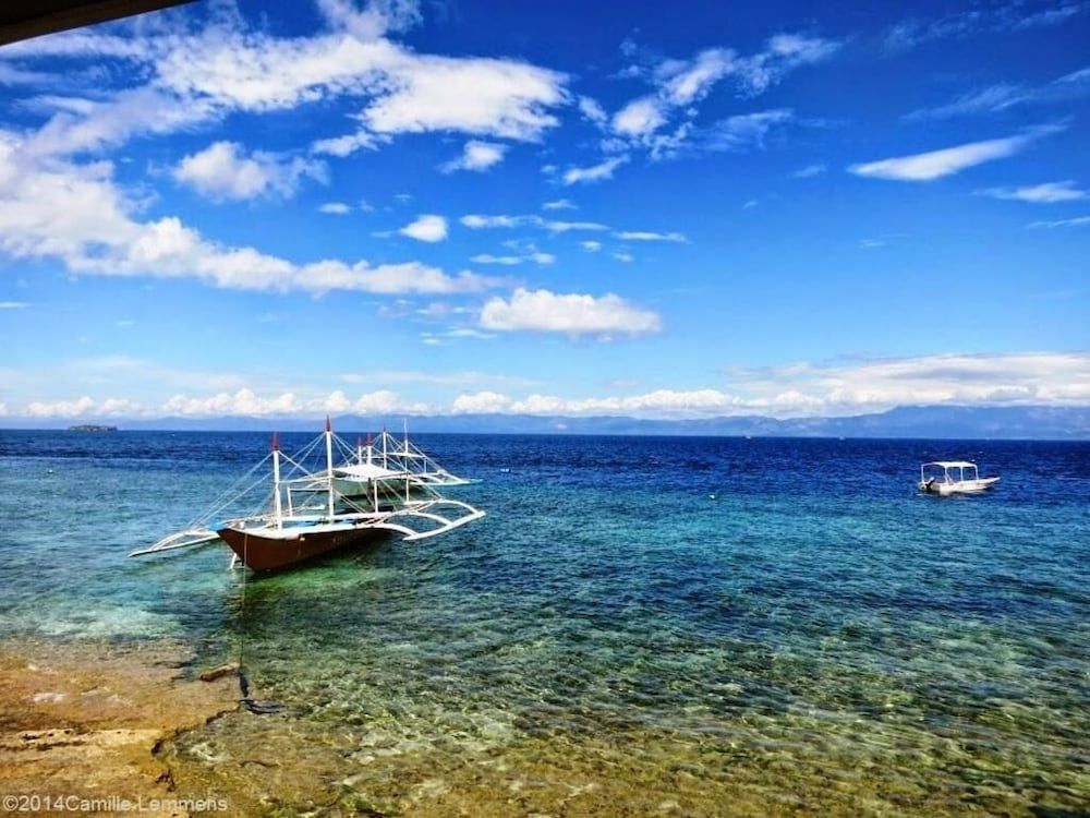 شاطئ صورة