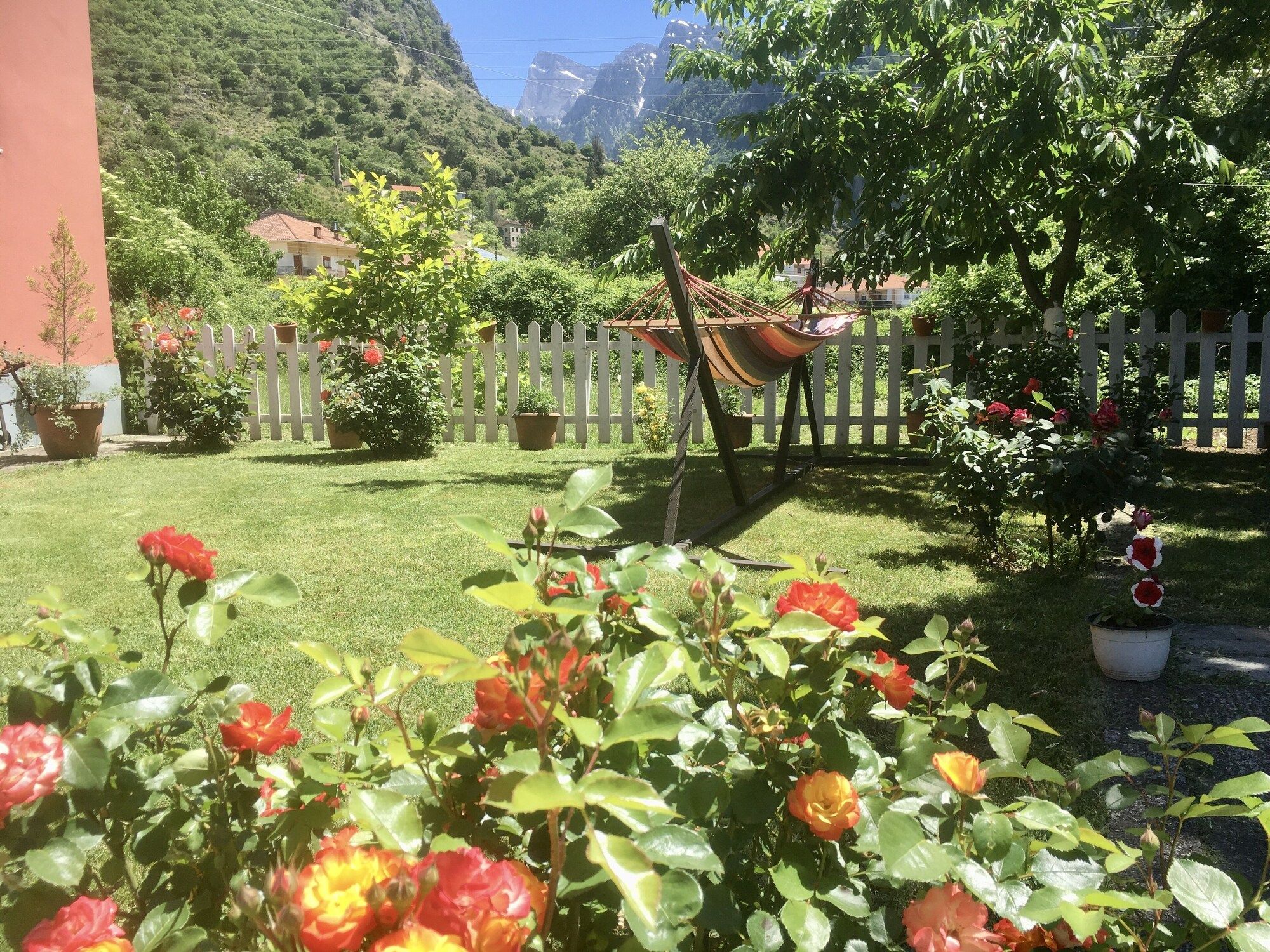 المظهر الخارجي