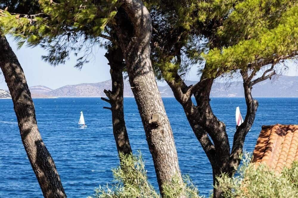 المظهر الخارجي