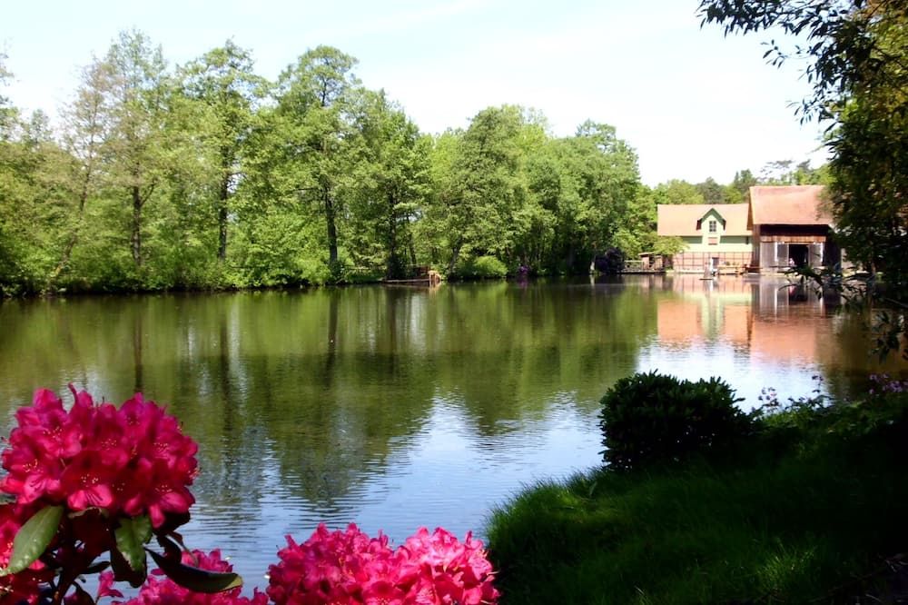 المظهر الخارجي