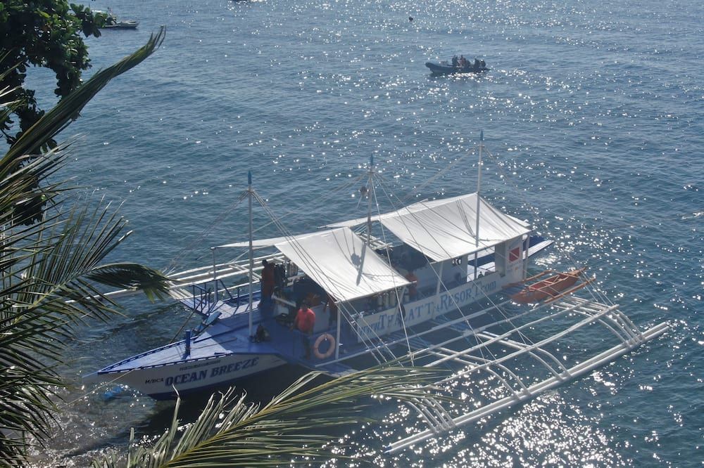 المظهر الخارجي