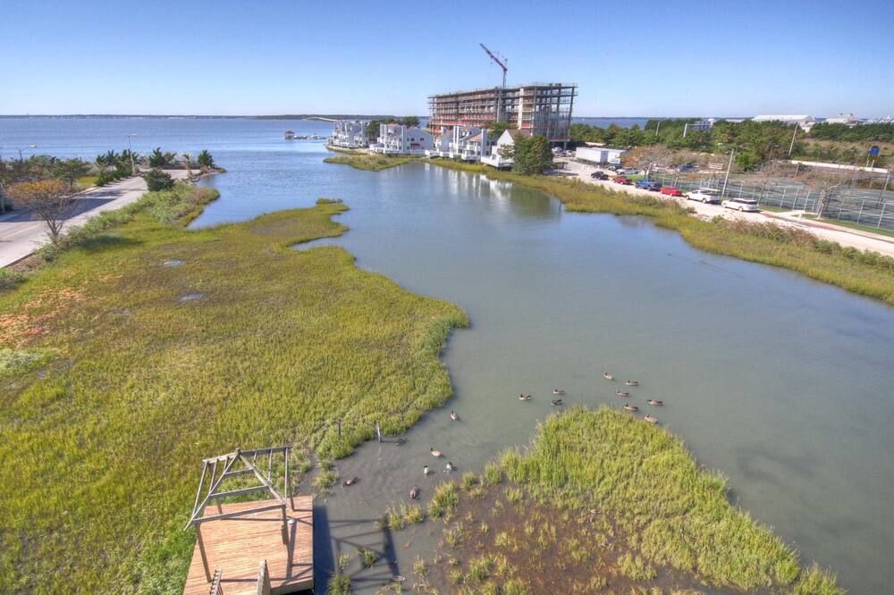 المظهر الخارجي