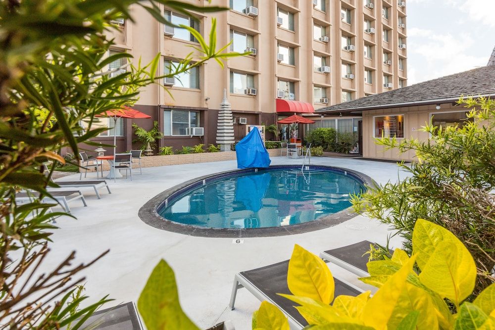 حوض السباحة