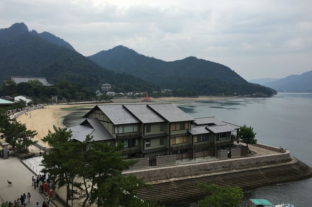 المظهر الخارجي