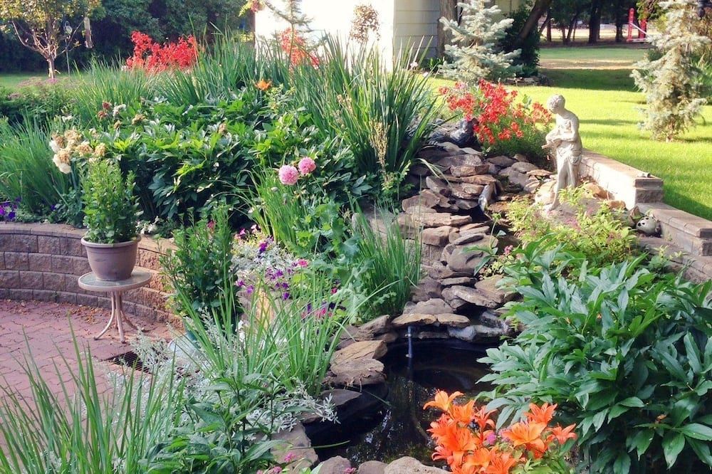 المظهر الخارجي