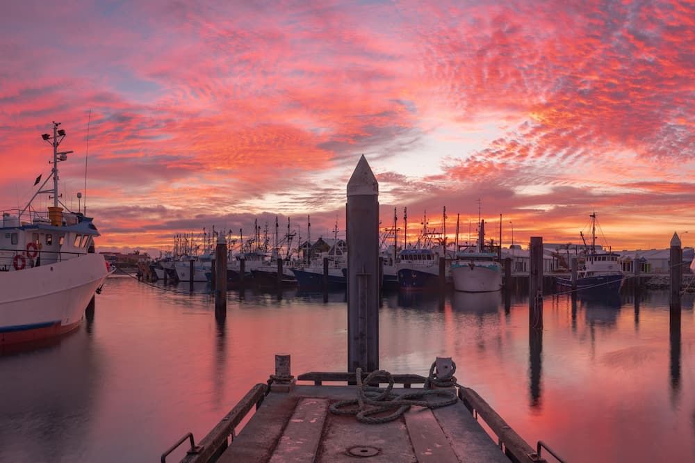 المظهر الخارجي