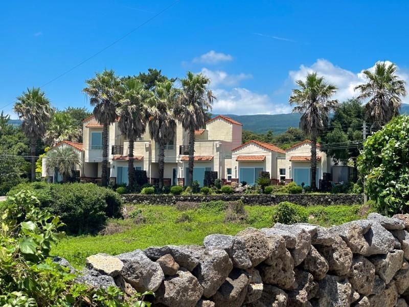 المظهر الخارجي