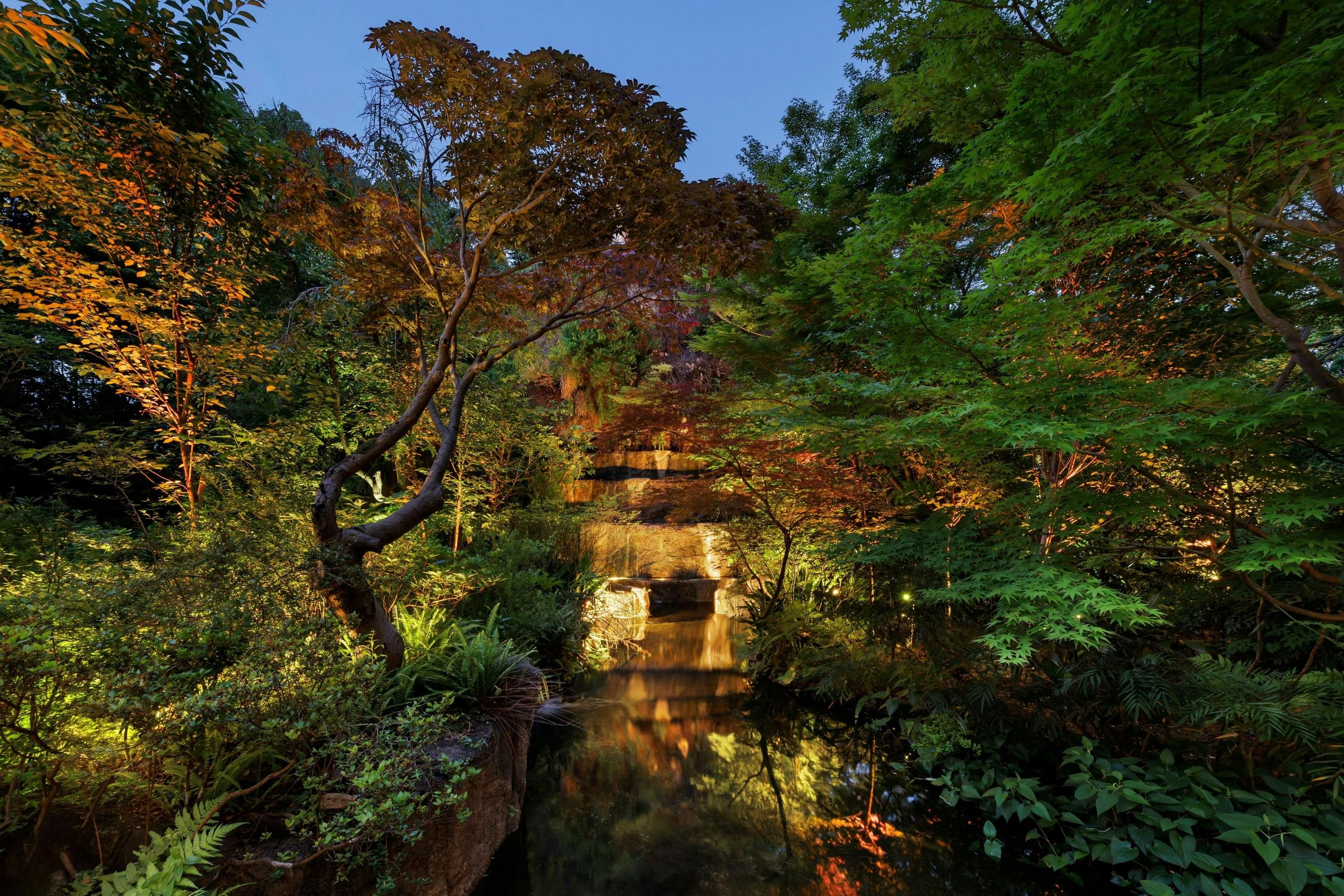 المظهر الخارجي