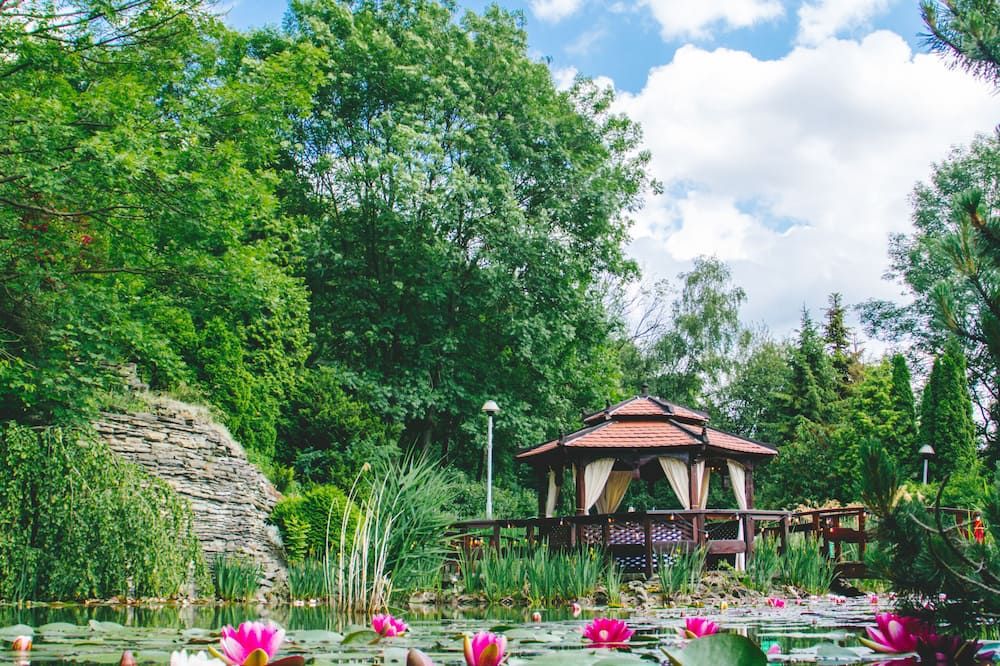 المظهر الخارجي