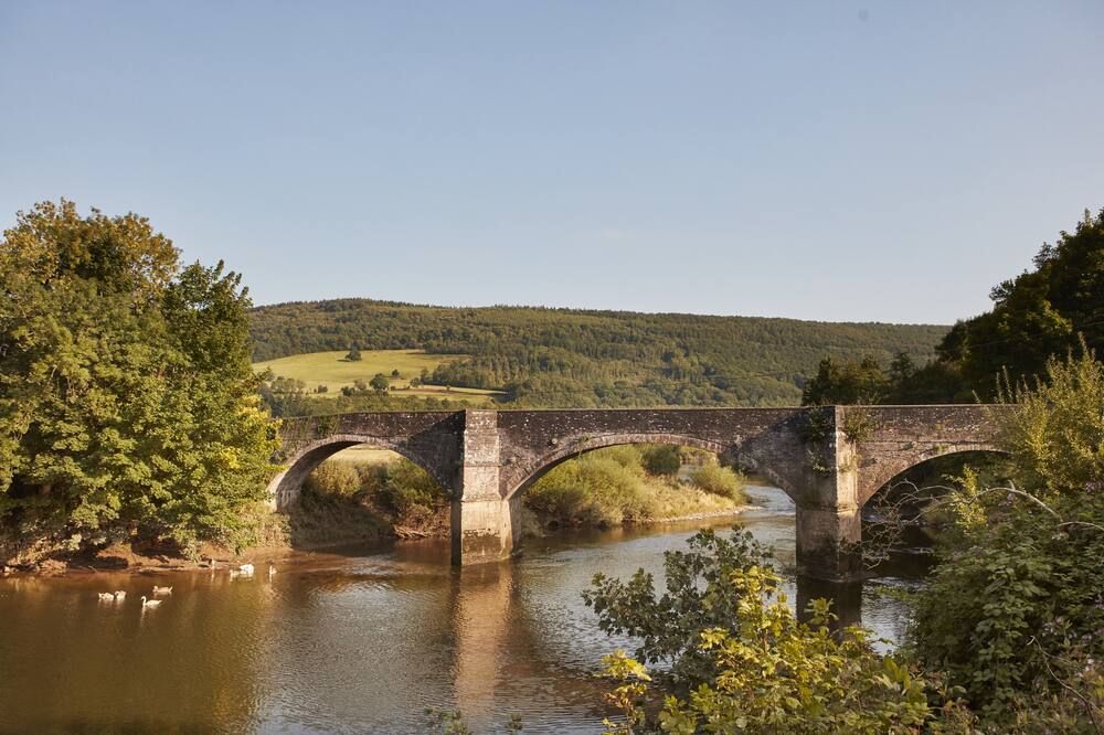 المظهر الخارجي