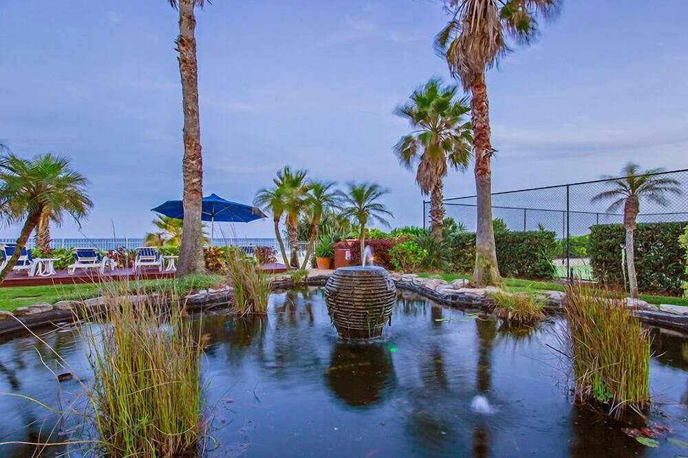 المظهر الخارجي