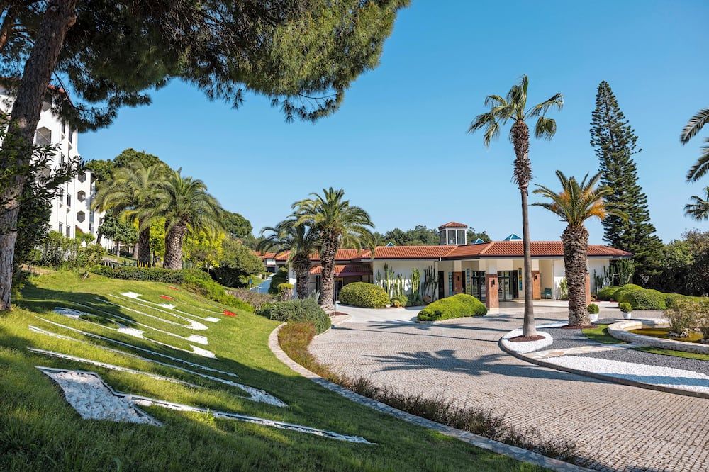 المظهر الخارجي