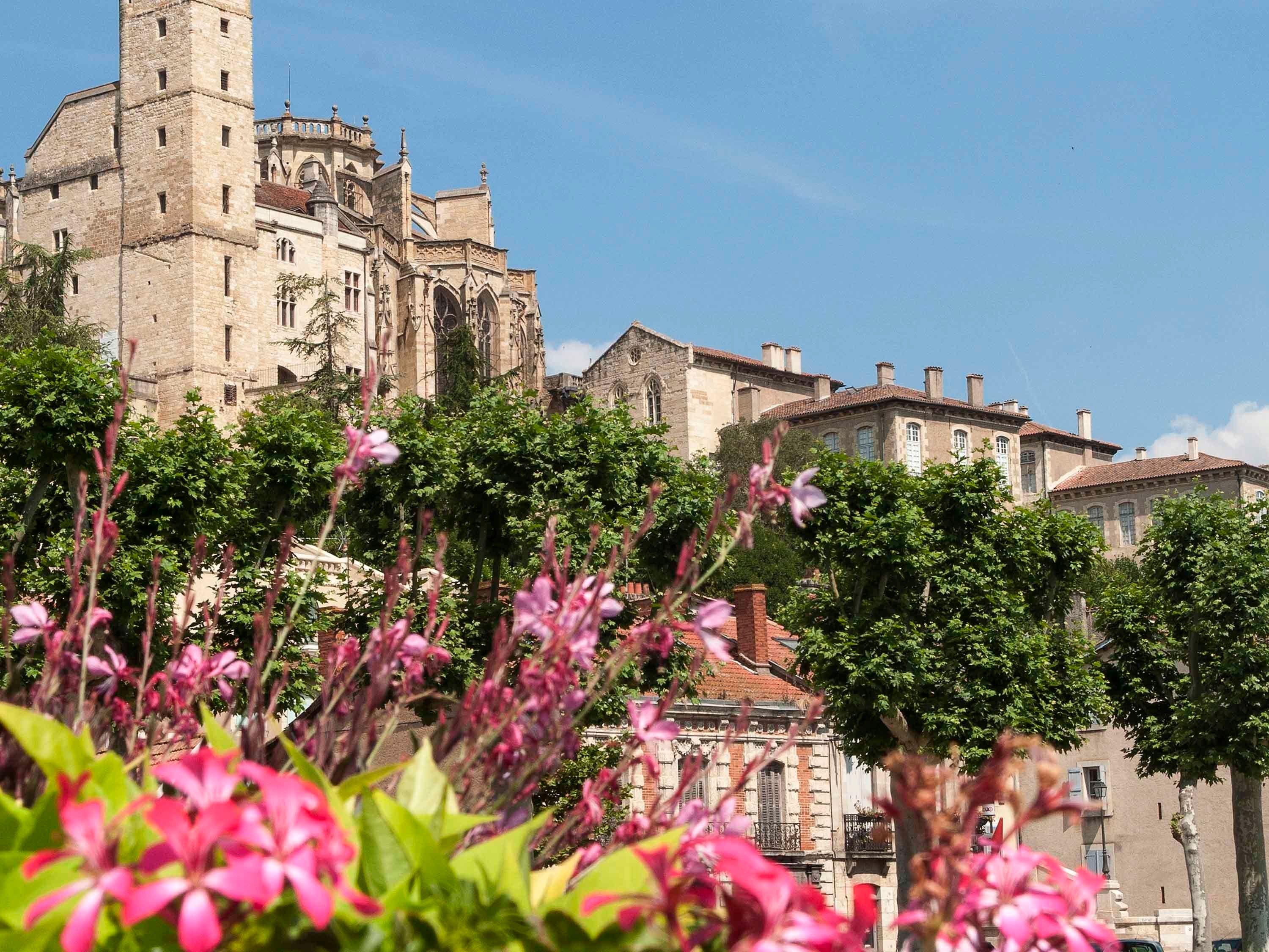 المظهر الخارجي