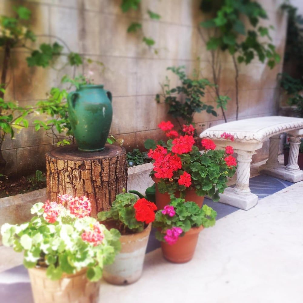 المظهر الخارجي