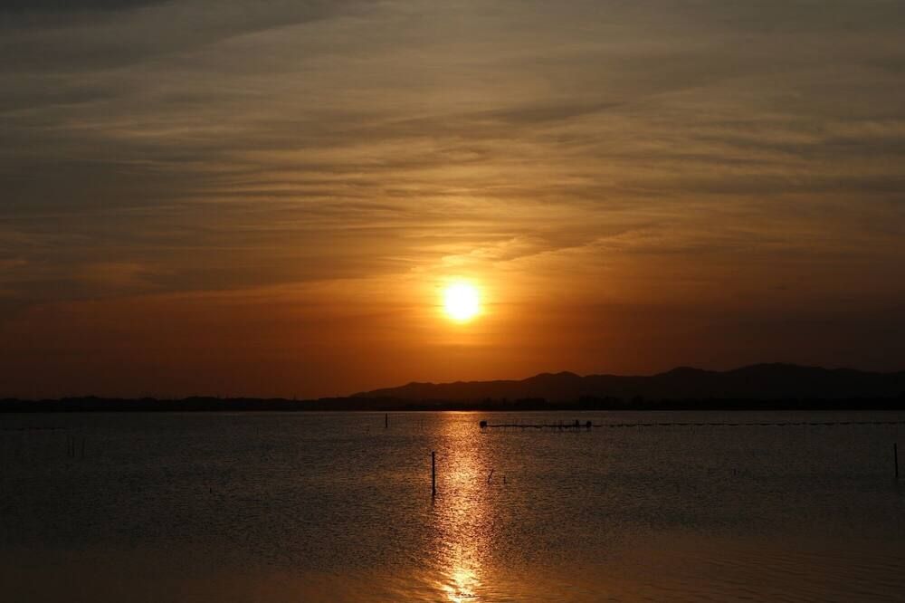 المظهر الخارجي