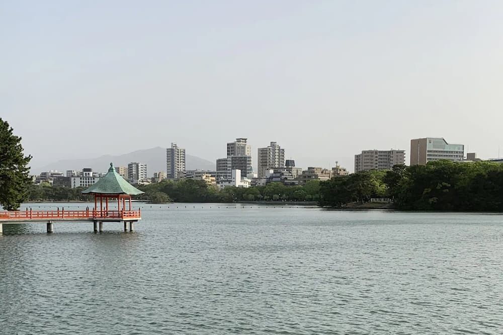 المظهر الخارجي