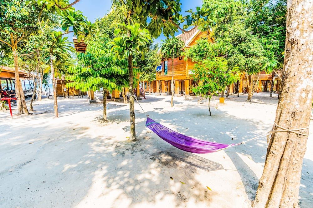 المظهر الخارجي