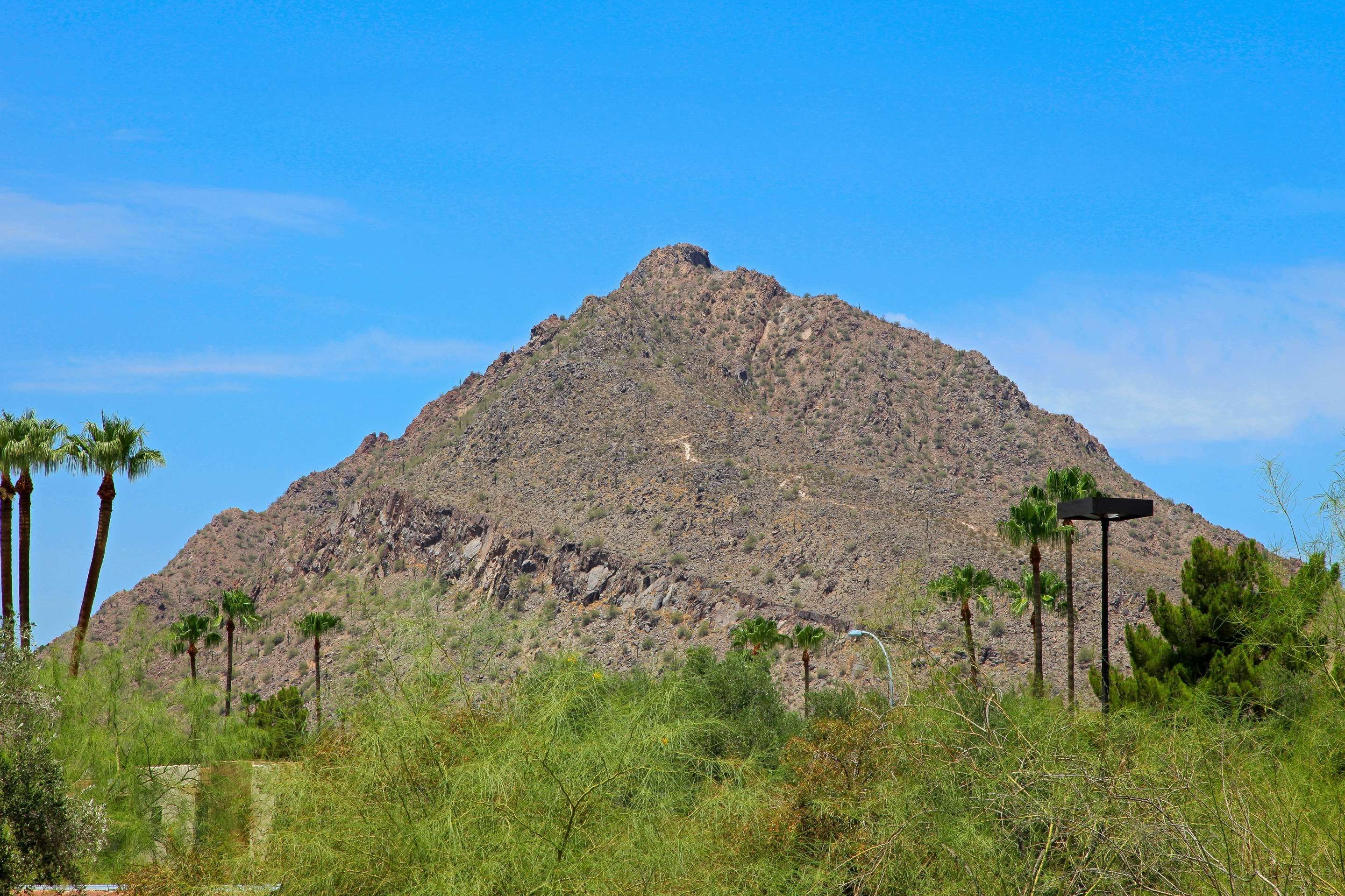 المظهر الخارجي