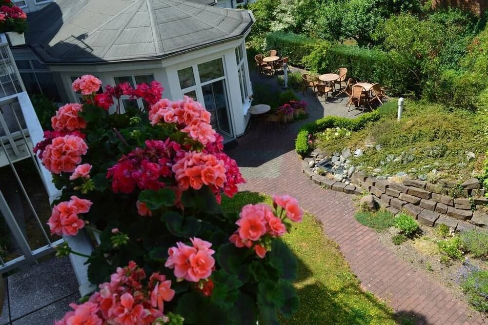 المظهر الخارجي