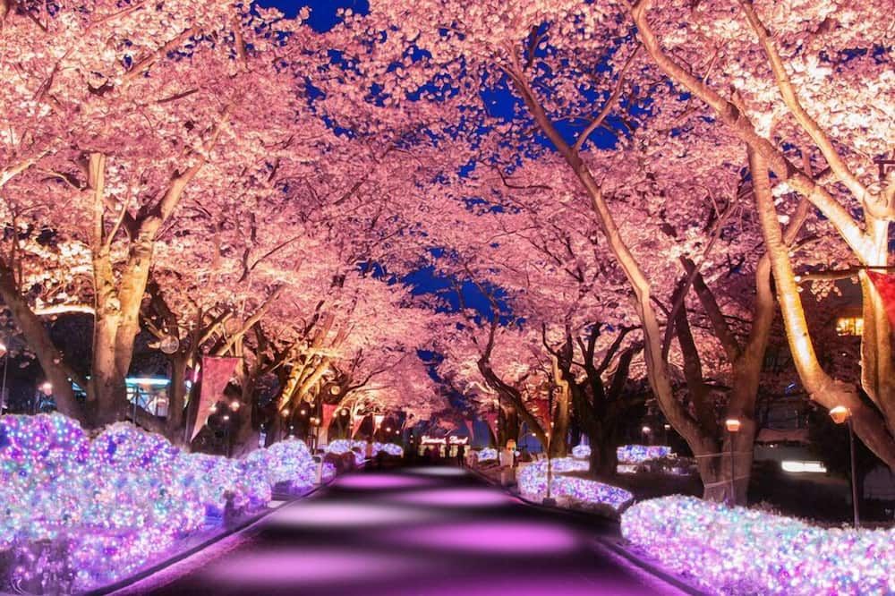 المظهر الخارجي