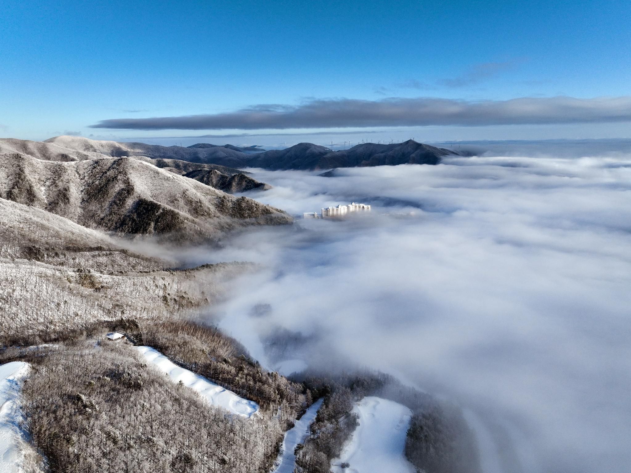 المظهر الخارجي